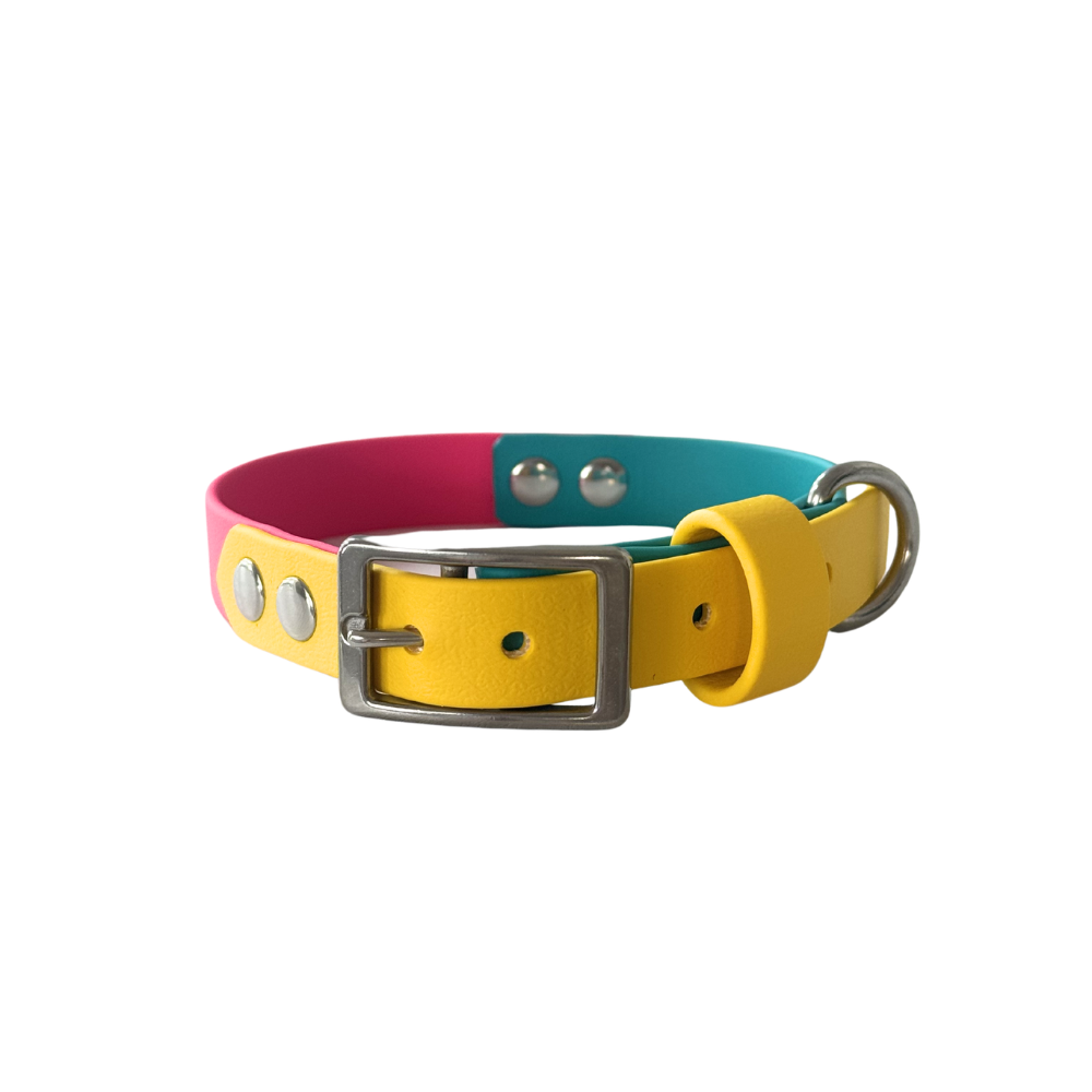 Waterproof Dog Collar Multi Tone – Design your own