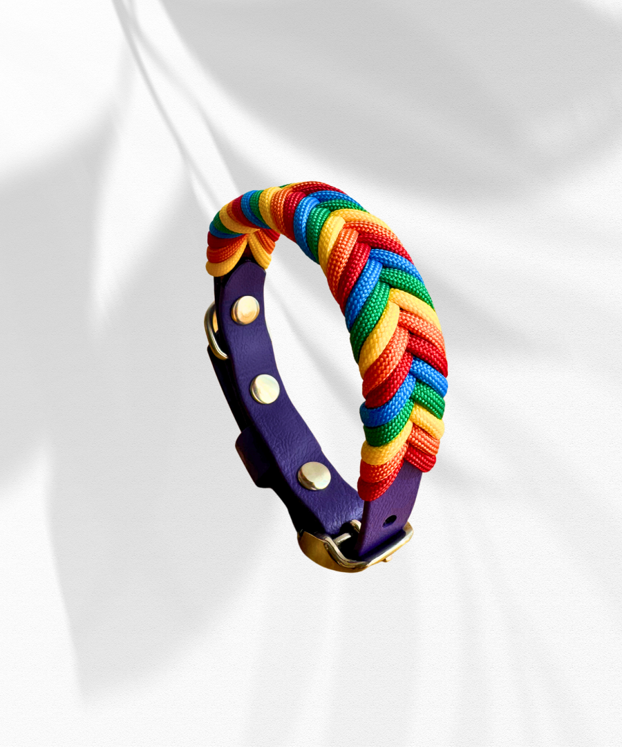 Love Wins Tiny Wildwoods Collar (for smaller breeds)