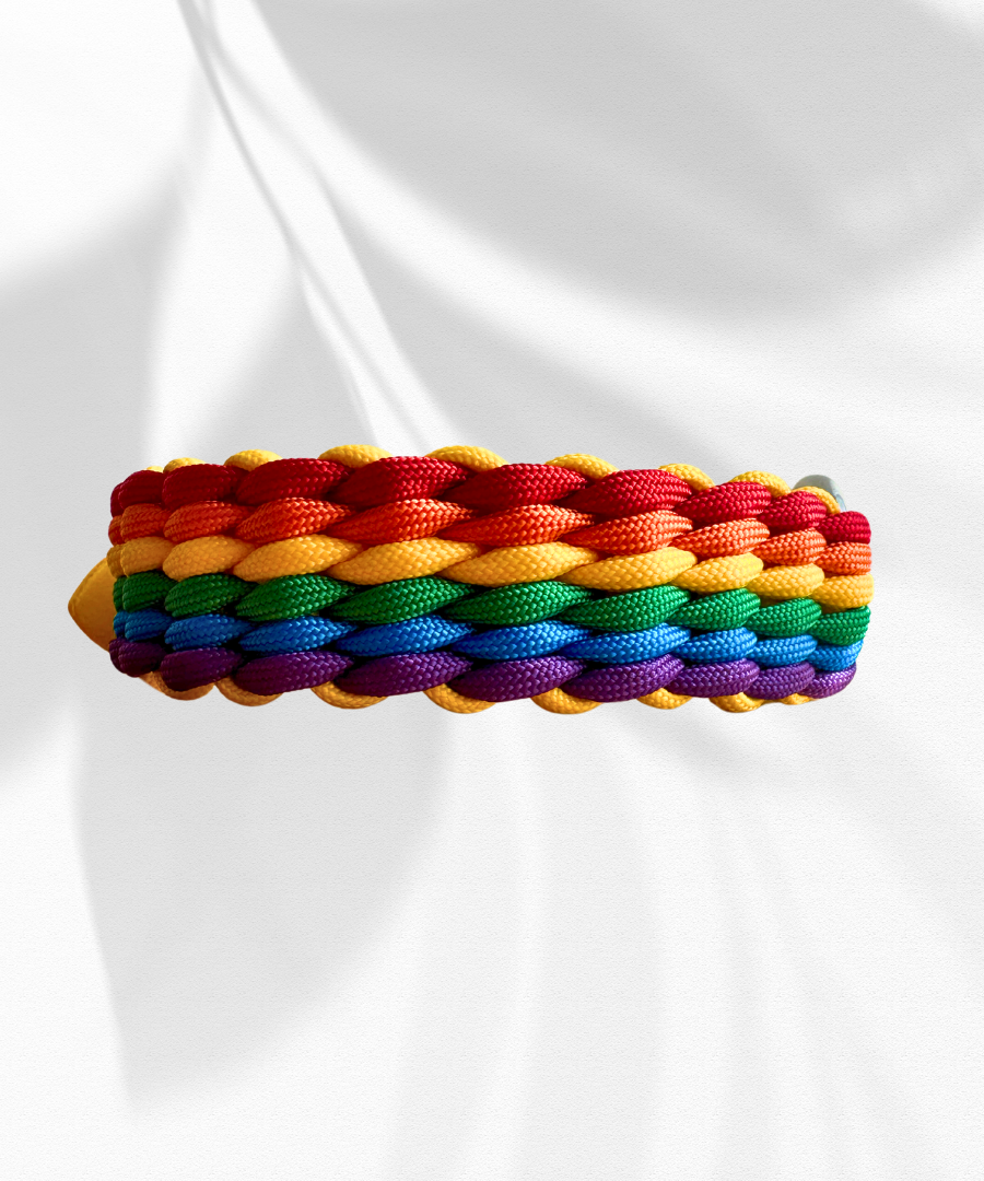Love Wins Paracord Collar