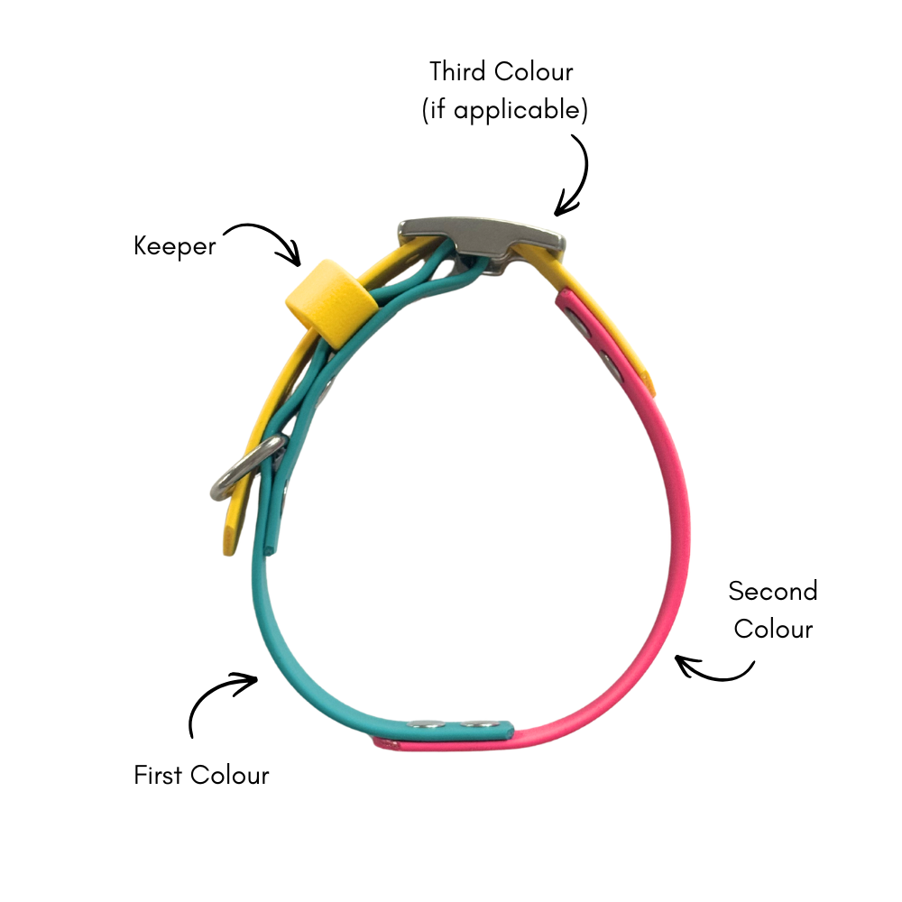 Waterproof Dog Collar Multi Tone – Design your own
