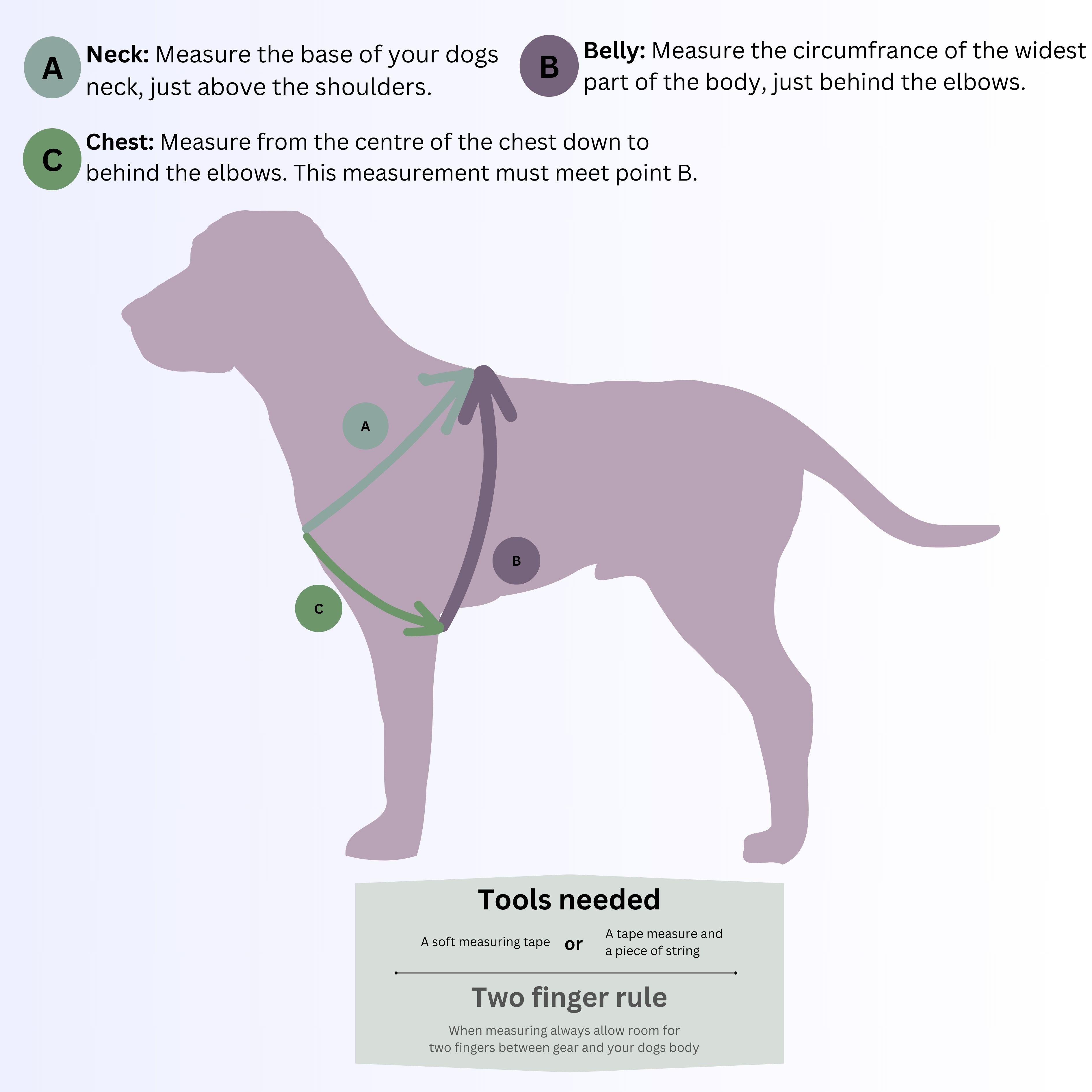 Custom BioThane Dog Harness &