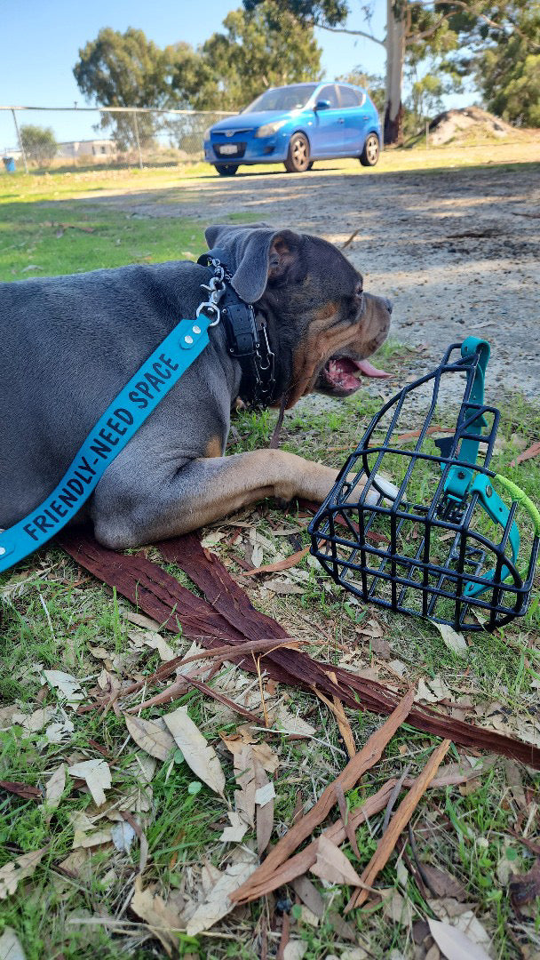 Custom print Leash extender
