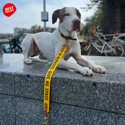 Custom print Leash extender