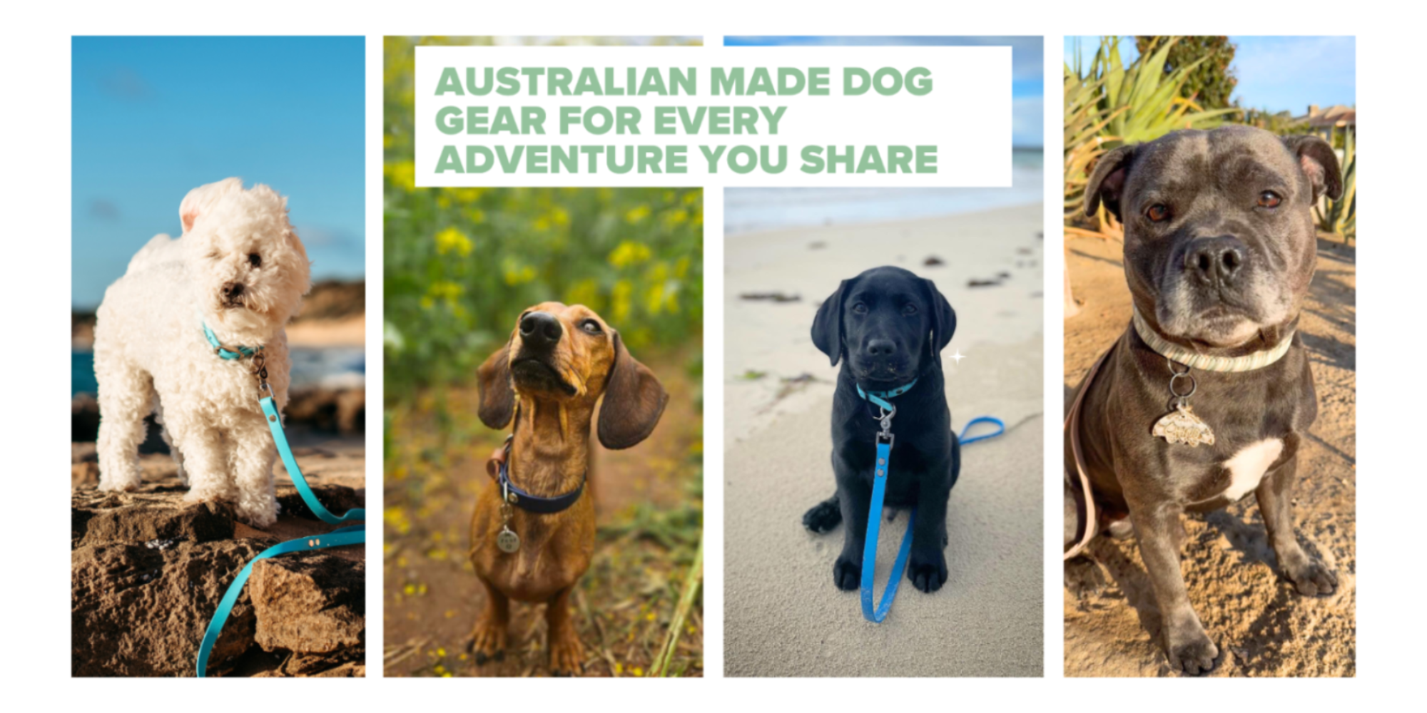 Collage of dogs with text about Australian made dog gear.