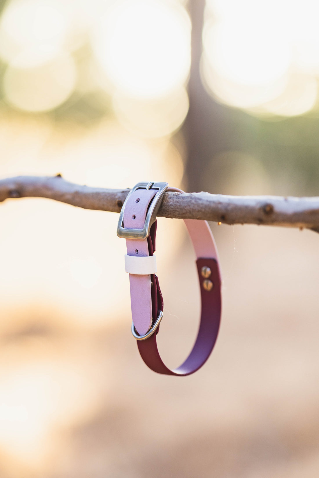 Custom BioThane Multi Tone Dog Collar – Design your own!
