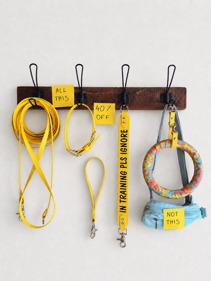 Complete Dog Training Bundle