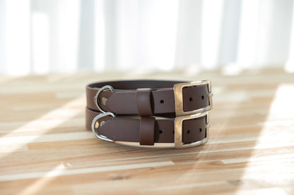 Waterproof BioThane® Dog Collar