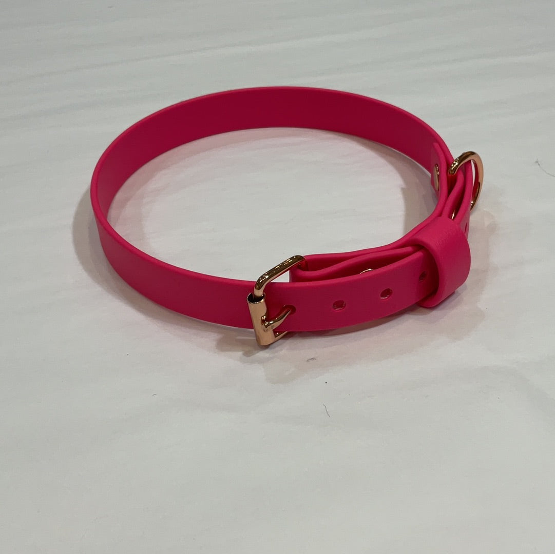 Passion pink (rose gold hardware) Biothane collar