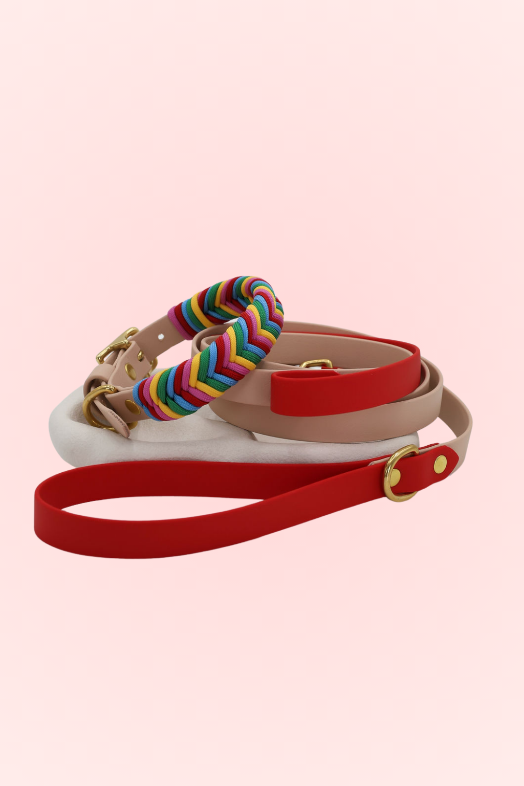 Sprinkle Joy Dog Collar