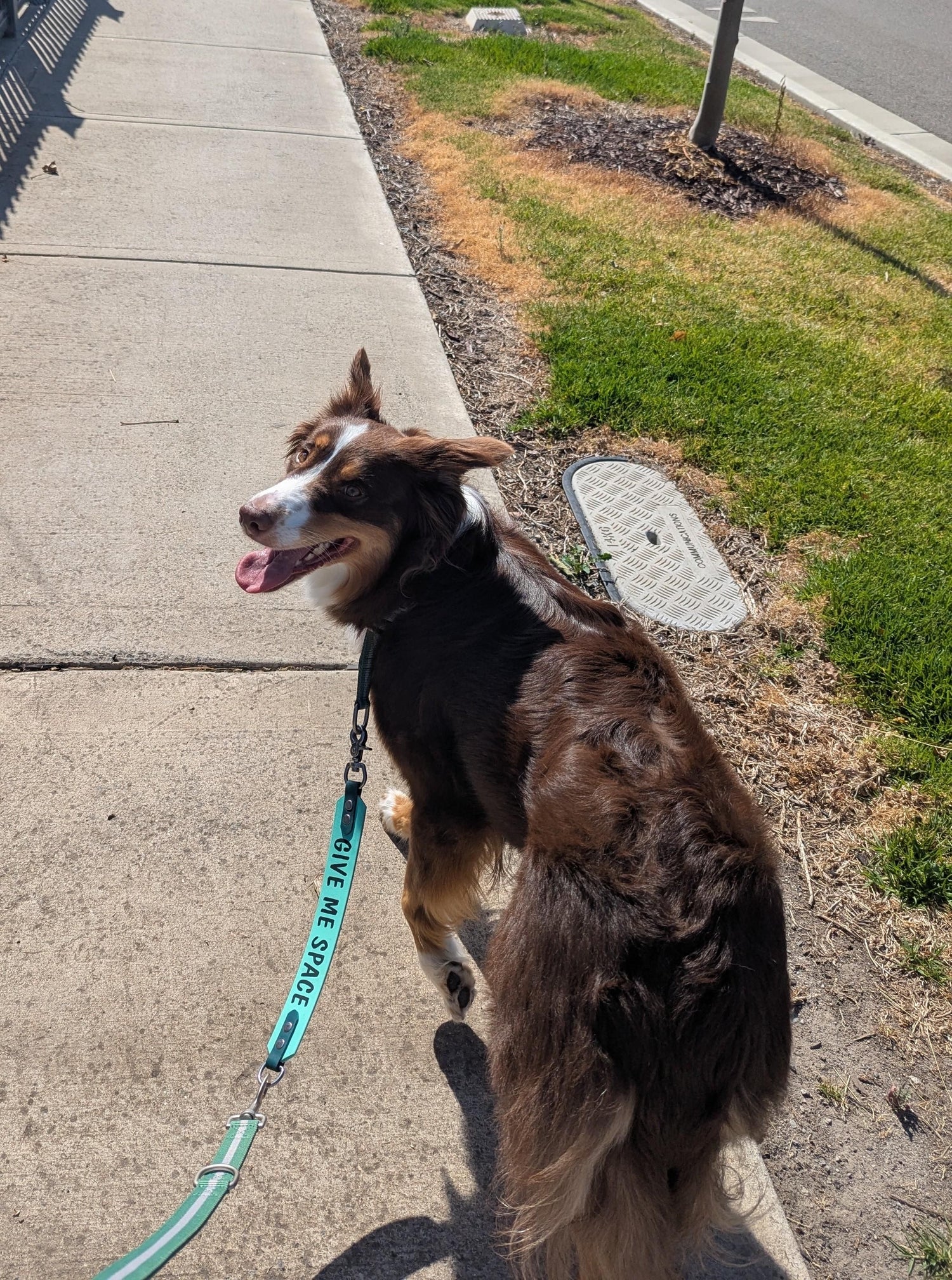 Custom print Leash extender