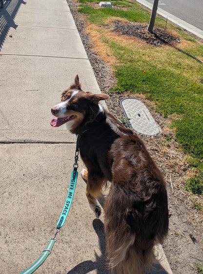 Custom print Leash extender