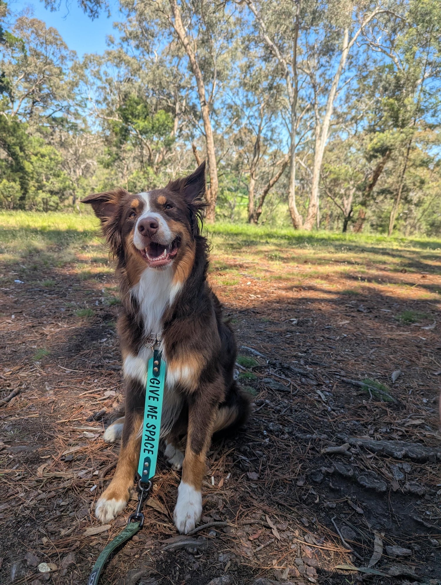 Custom print Leash extender