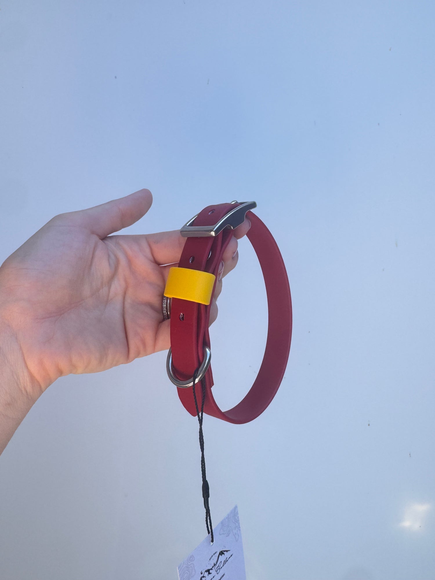 S (31-38cm neck) Red/Yellow Collar