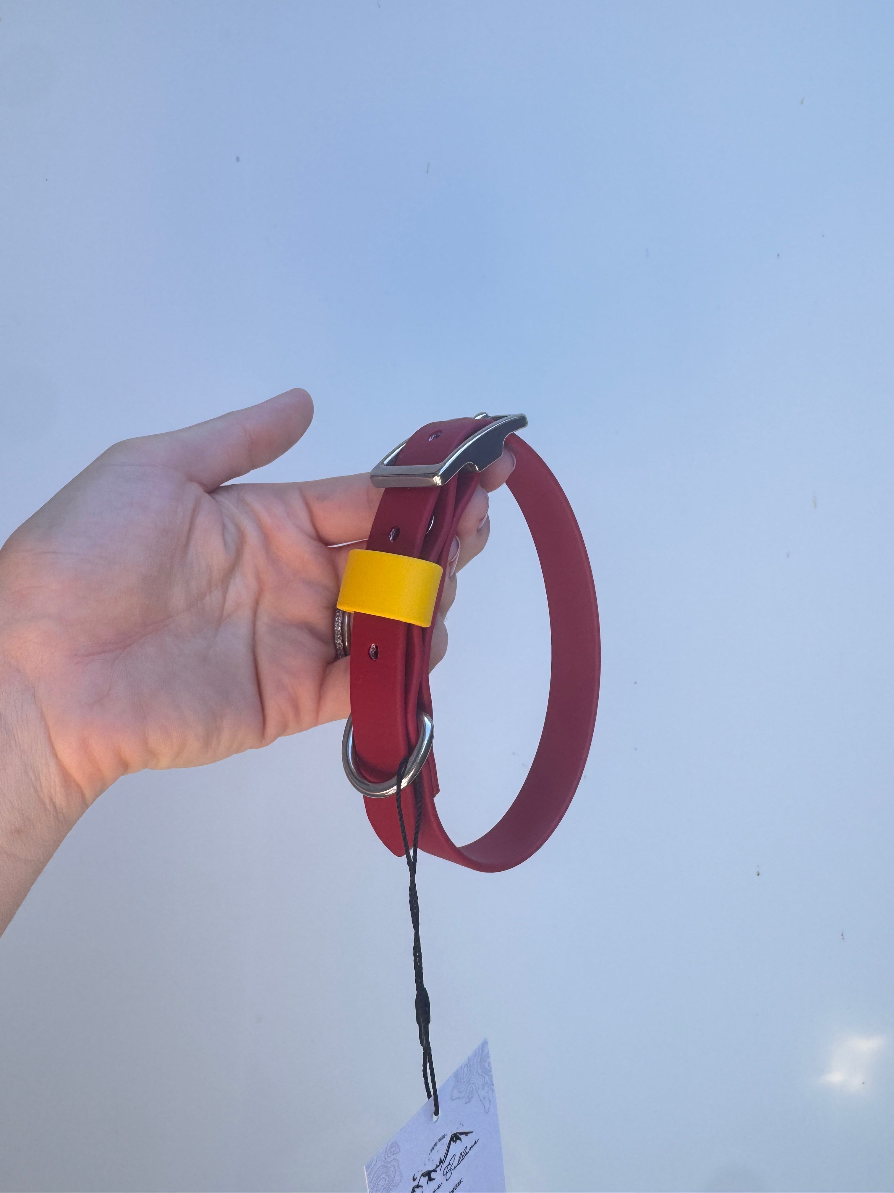 S (31-38cm neck) Red/Yellow Collar