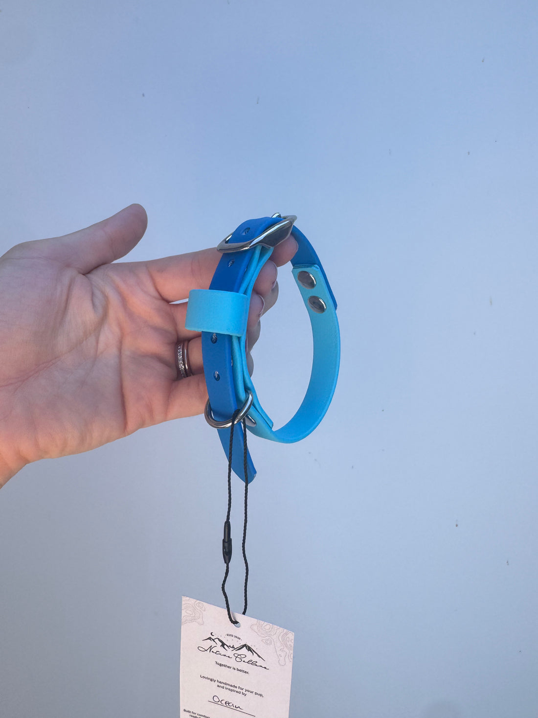 XS (24-30cm) Light blue/blue collar