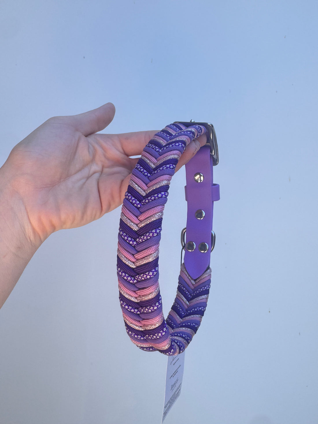 XL (45-52cm neck) Amethyst Wildwoods Collar