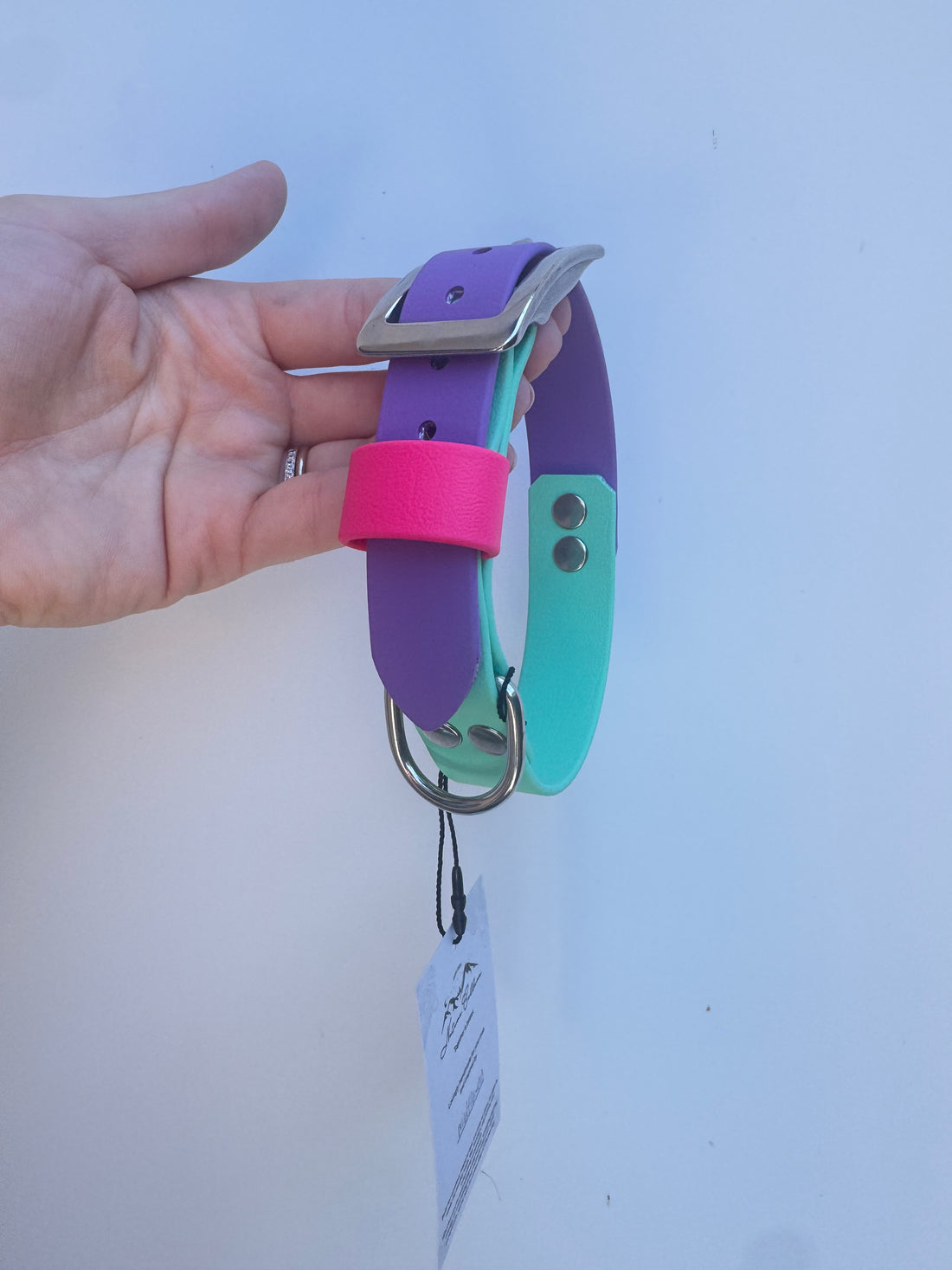 S (30-36cm neck) Seafoam/Amethyst/Passion Pink collar (2.5cm wide)