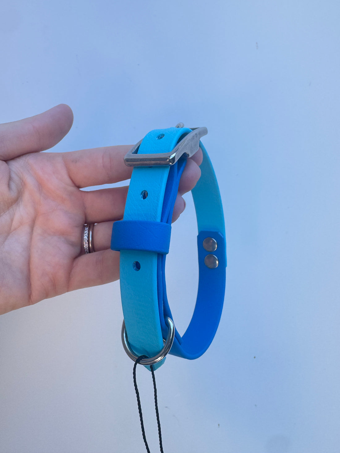 S (30-36cm neck) Blue/Light Blue Collar