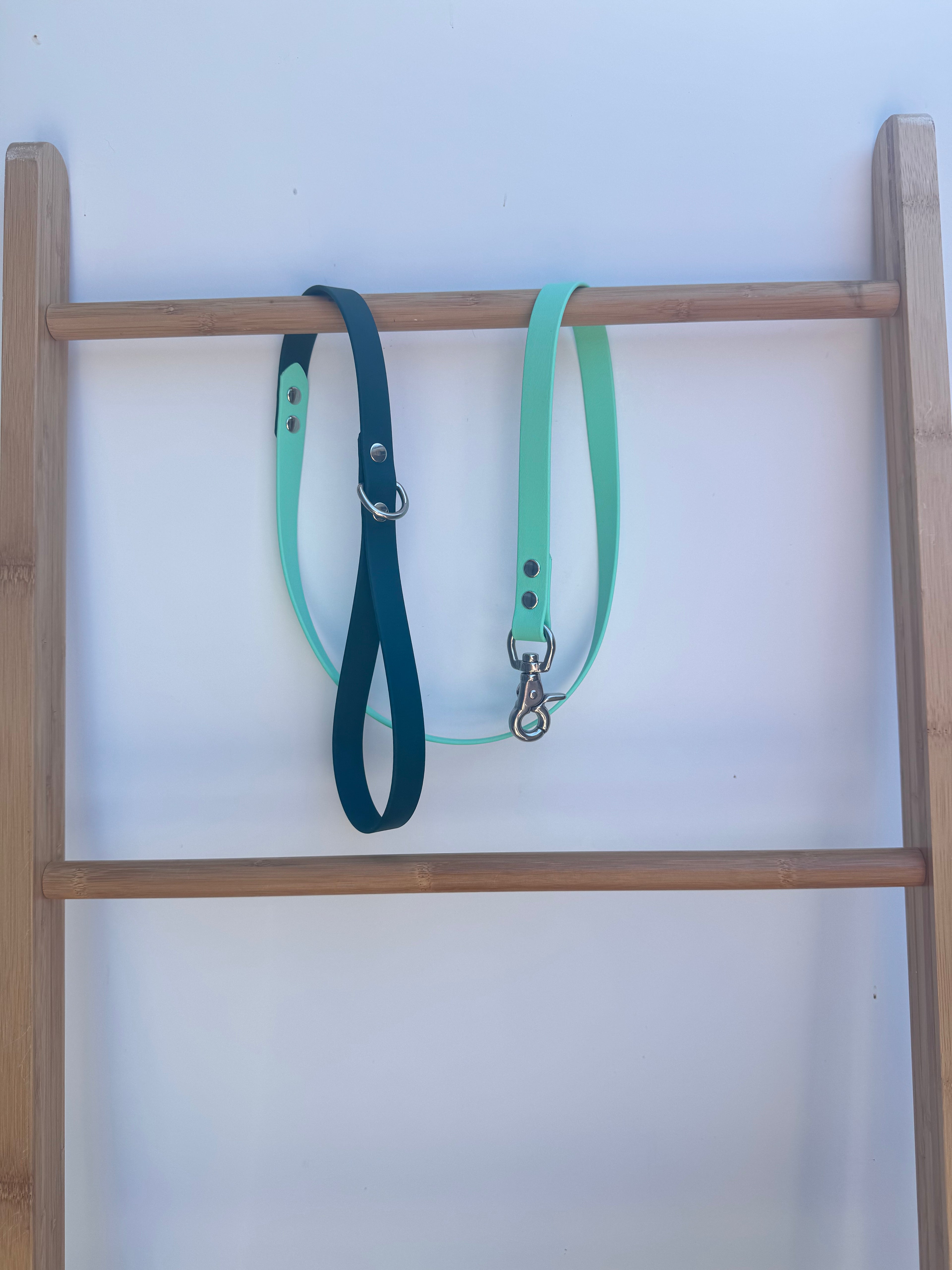 Emerald/Seafoam Standard 1.2m Lead