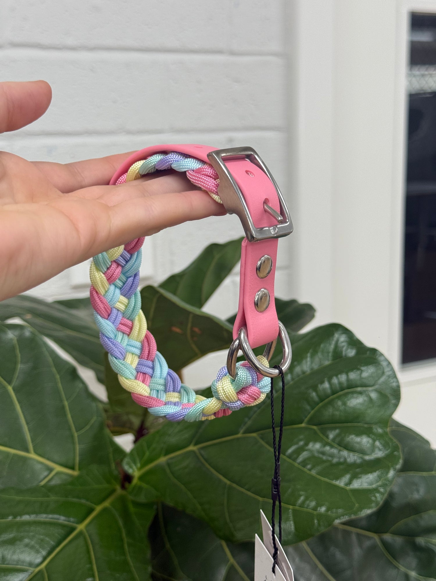 Paracord Collar - Size Medium