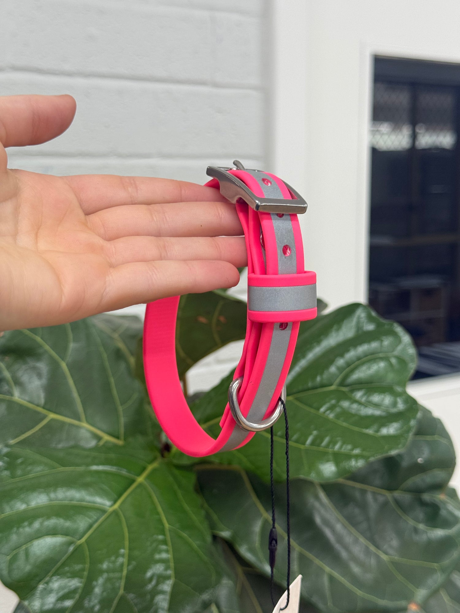 Paracord Collar - Small