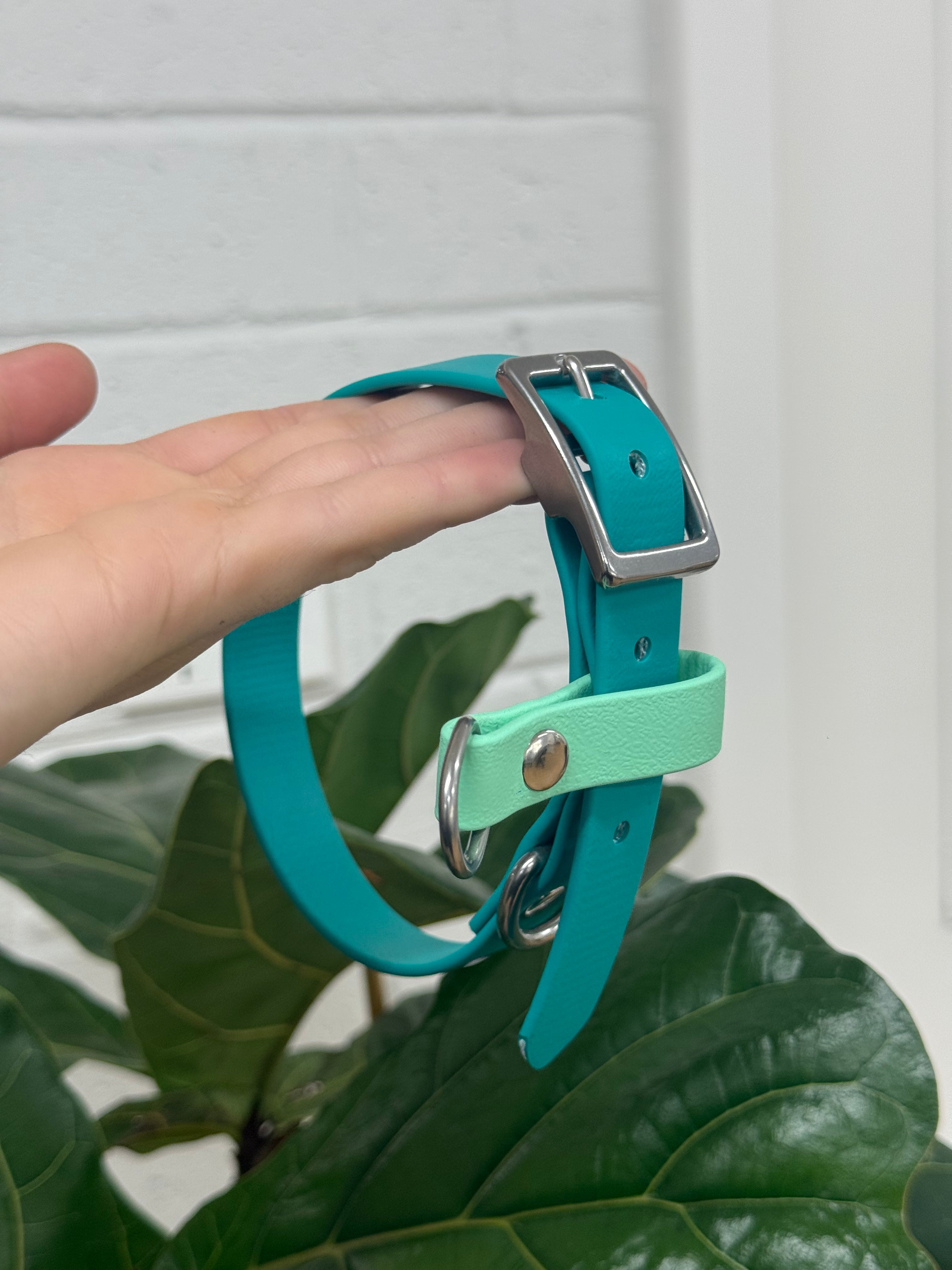 Paracord Collar - Size Medium