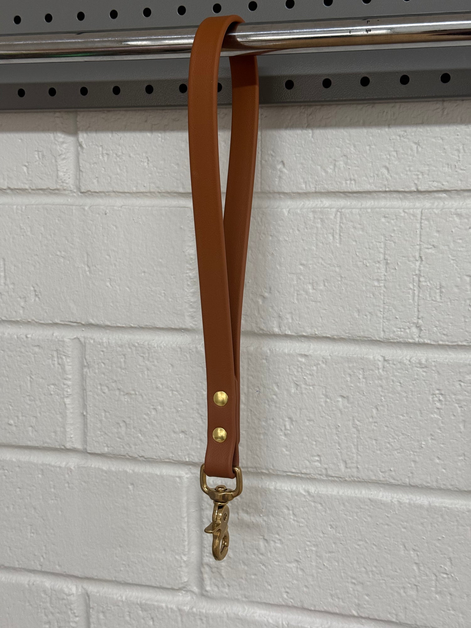 BioThane Dog Traffic Leash
