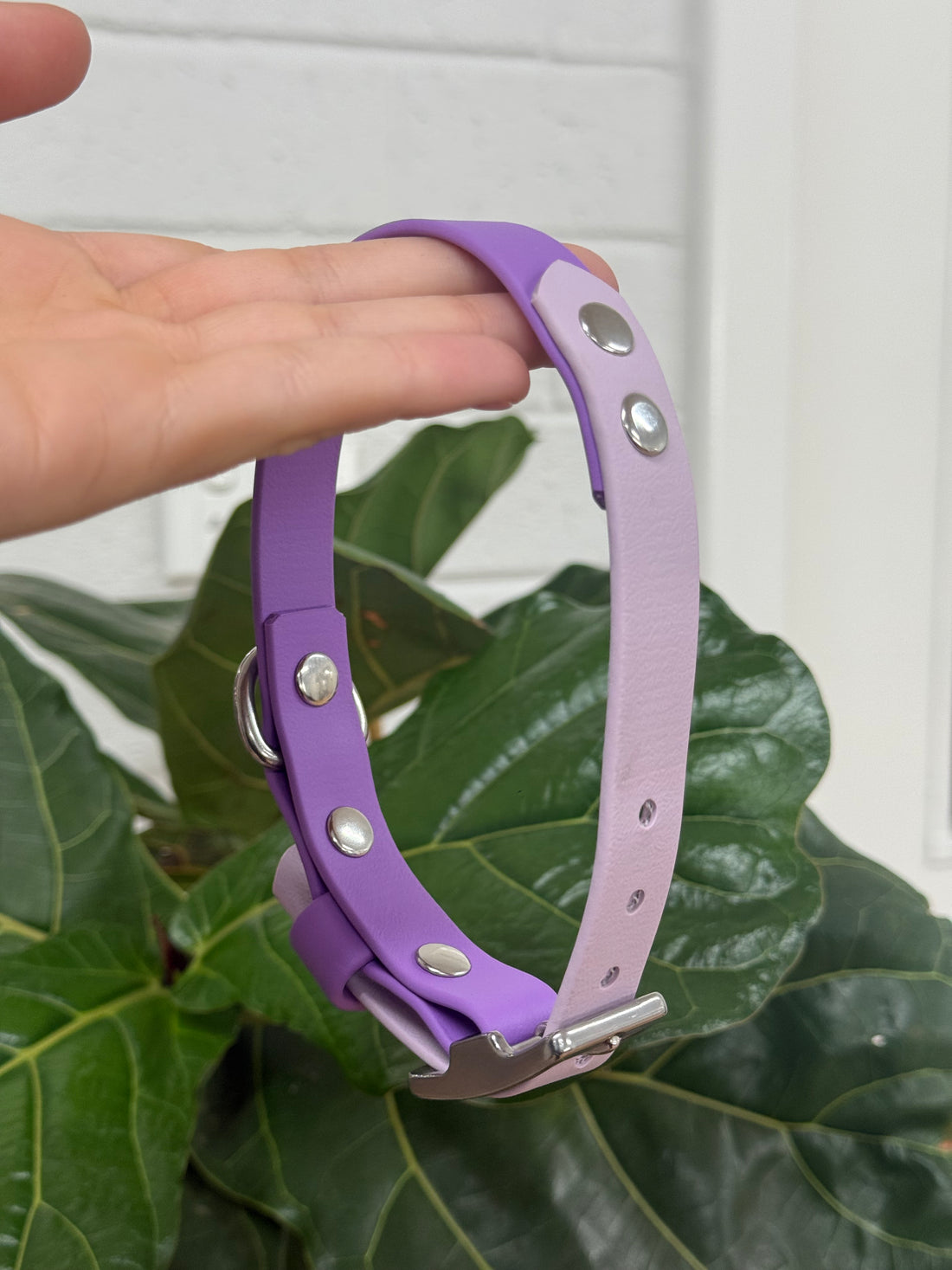 BioThane Dog Collar - Small