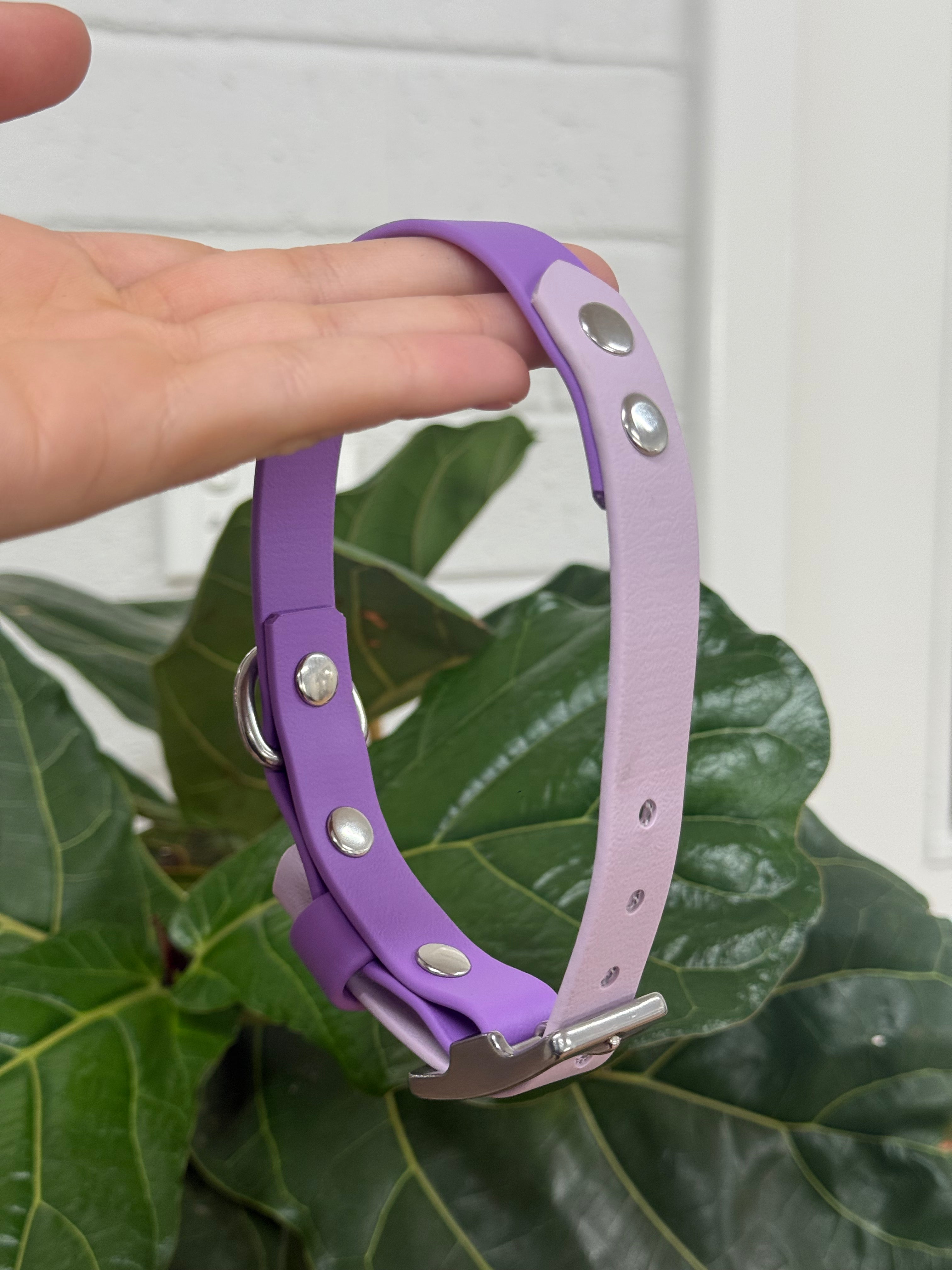 BioThane Dog Collar - Small