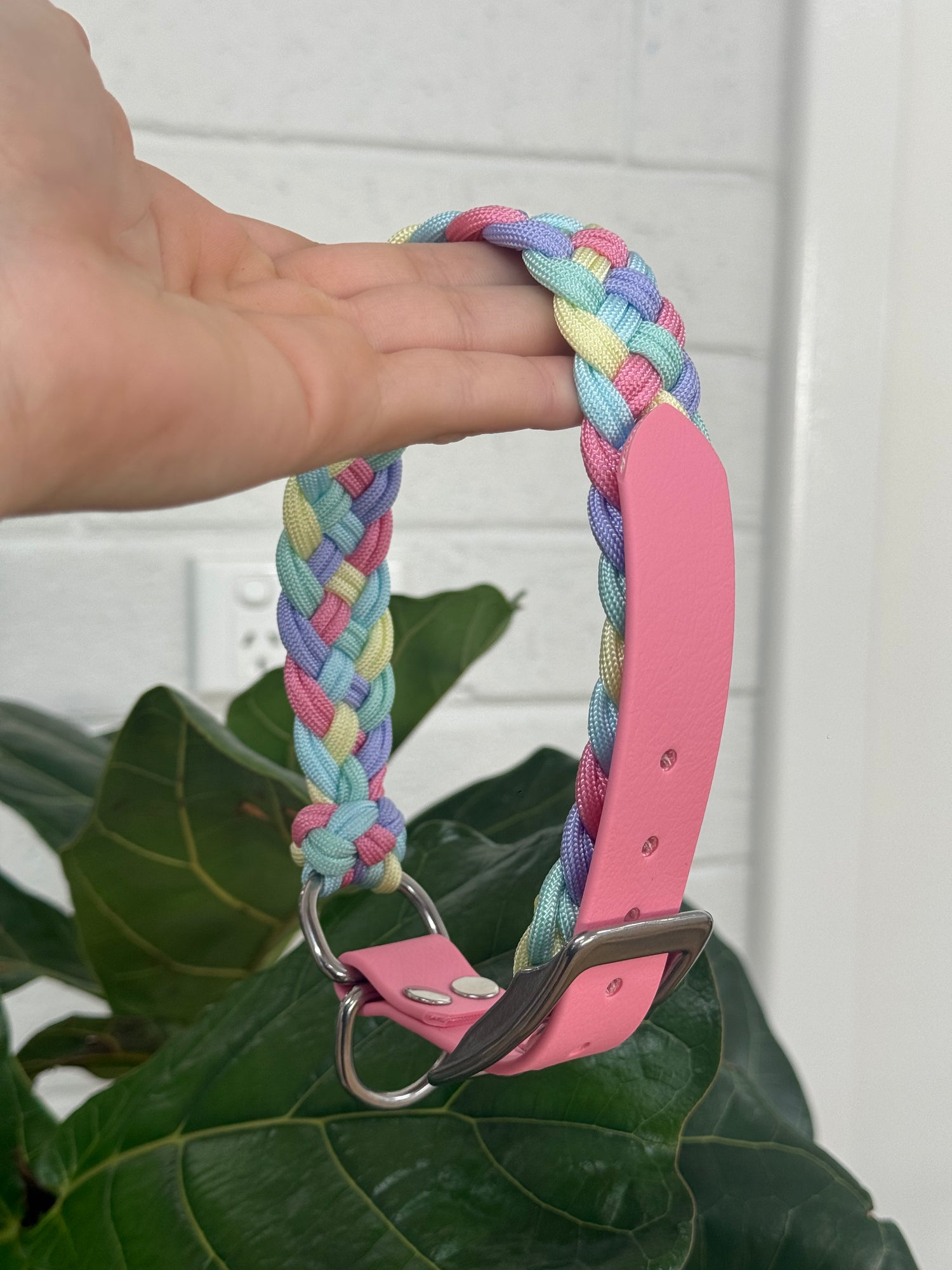 BioThane Dog Collar - Large