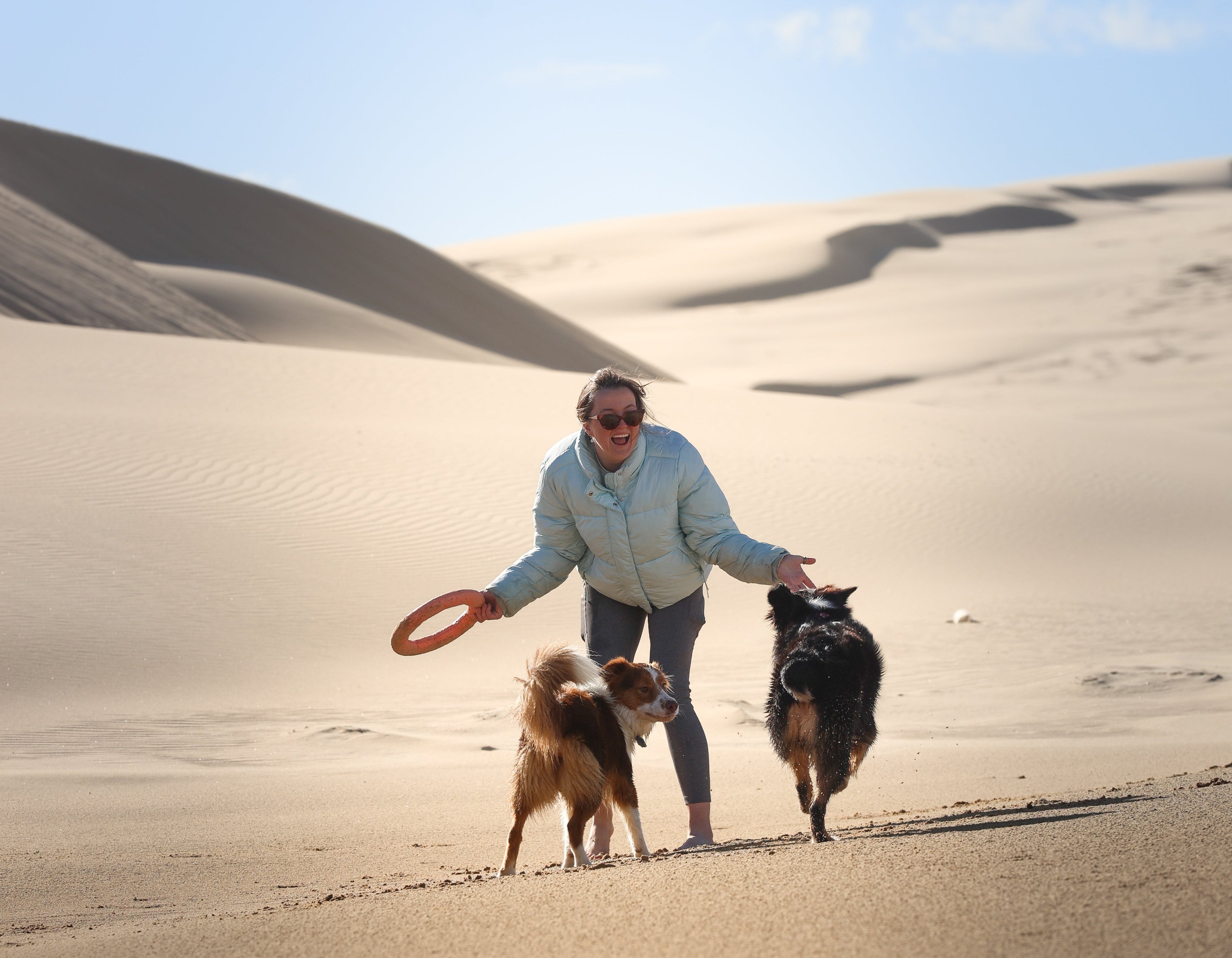 A woman in a light blue jacket and dark pants walks on a sandy desert dune with two dogs, one brown and one black, under a clear blue sky. She holds an orange frisbee.