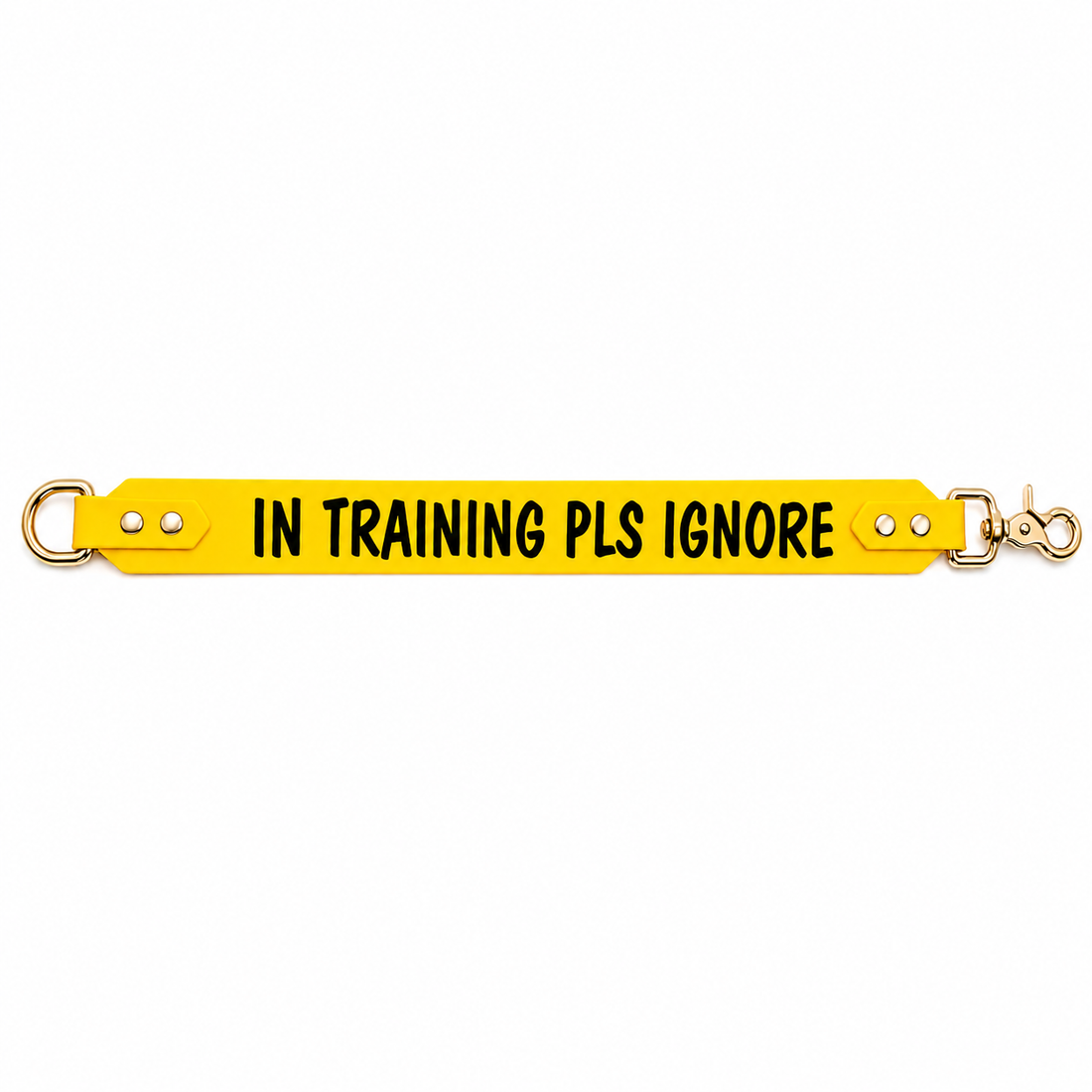 "In training pls ignore" Leash extender