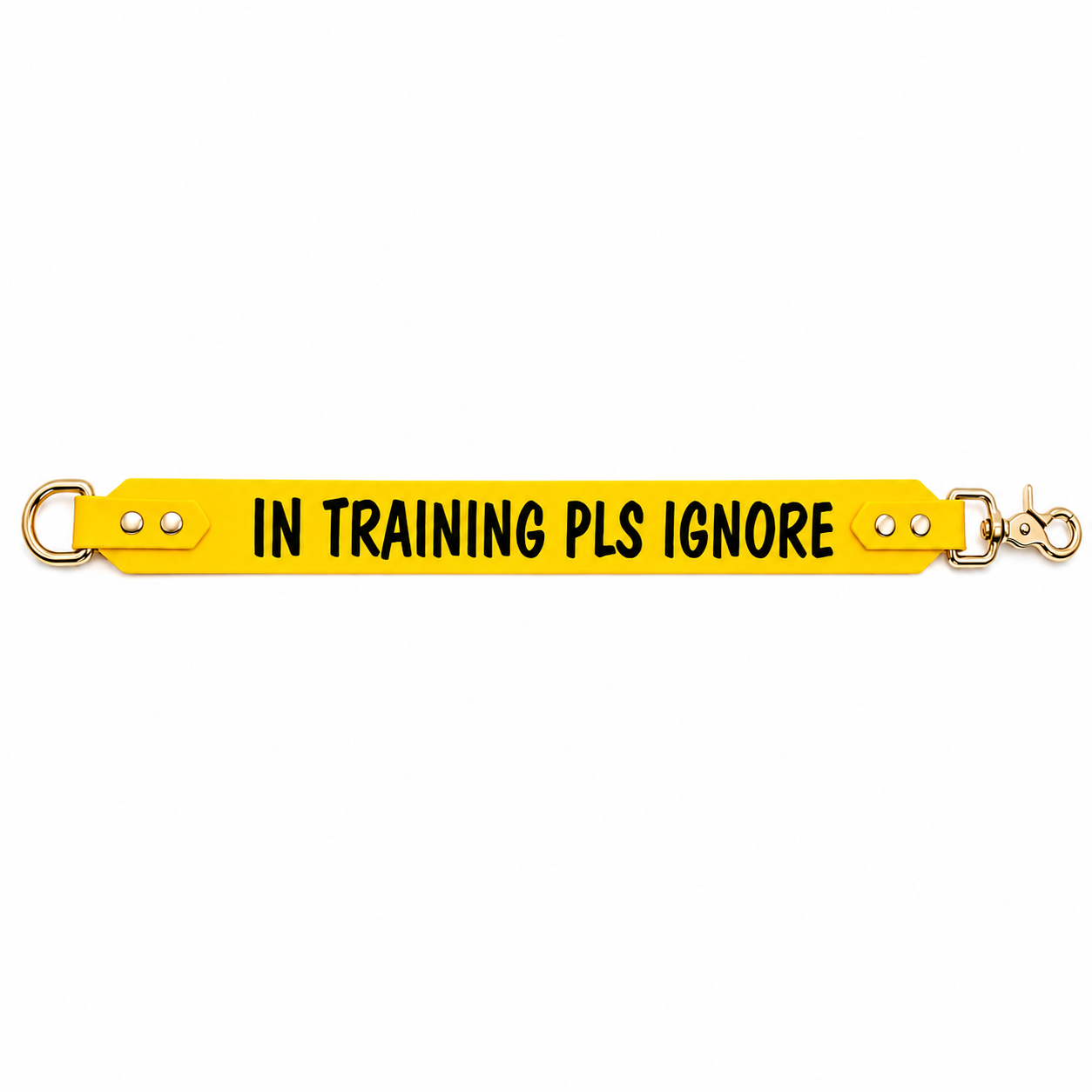 "In training pls ignore" Leash extender