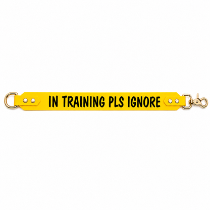 "In training pls ignore" Leash extender