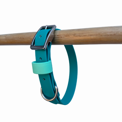 Turquoise Biothane dog collar on a wooden rod against a white background.