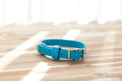 BioThane Collar &amp; Lead Bundle - Lagune