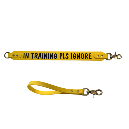 Bundle - Traffic leash and extender