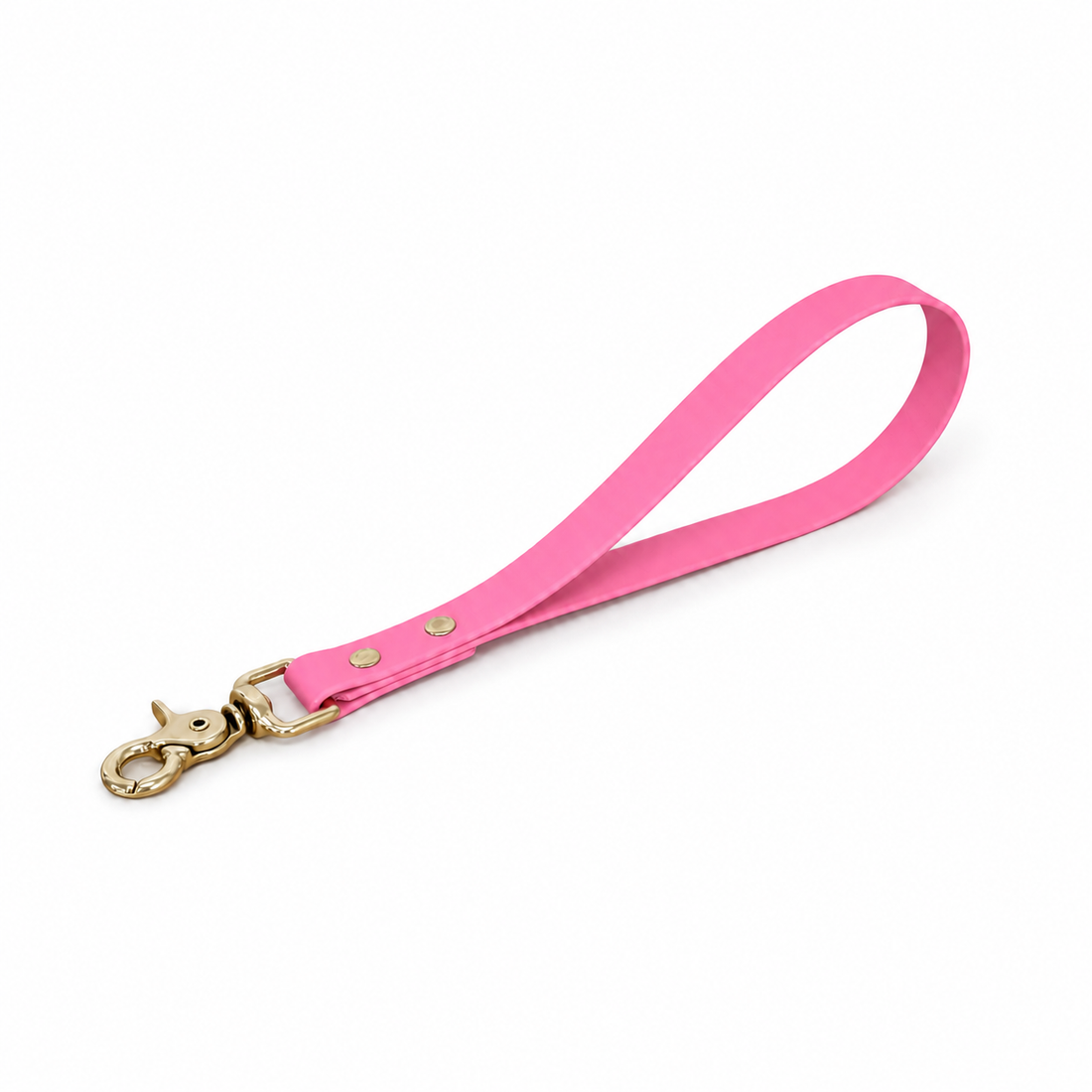 Pastel Pink Traffic Lead