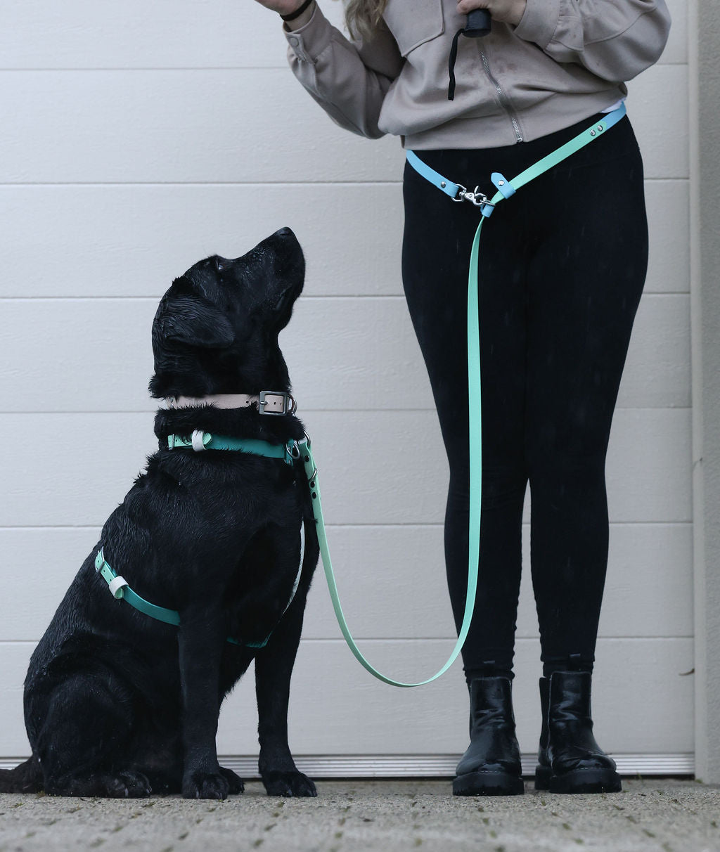 Person and black dog wearing matching green harnesses and leashes against a white wall.