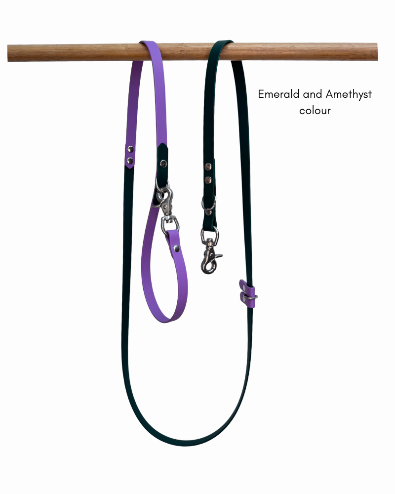Emerald and amethyst 5 in 1 Biothane Dog Leash
