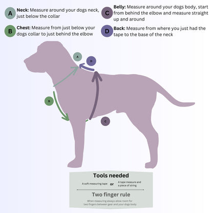BioThane Dog Harness