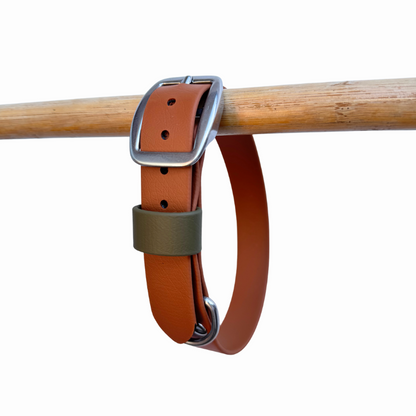 Light brown and moss Biothane dog collar on a wooden rod against a white background.