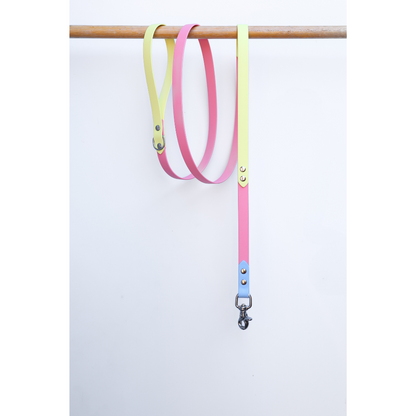 Two tone colorful dog leash on a wooden rod against a white background