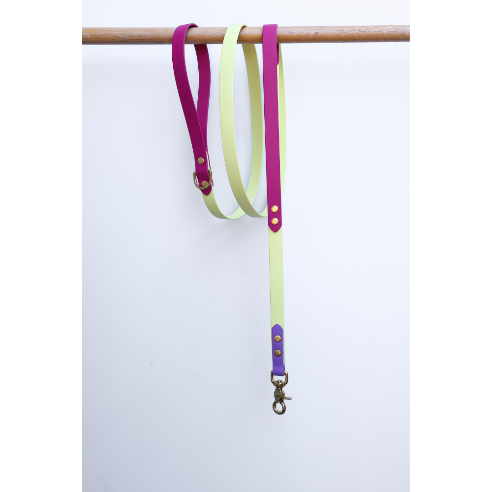 Two tone Biothane dog leash in amethyst and pastel yellow hanging on a wooden rod against a white background.