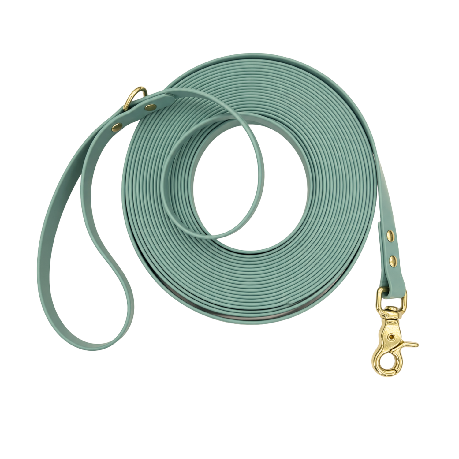 Sage Waterproof Long Line Lead
