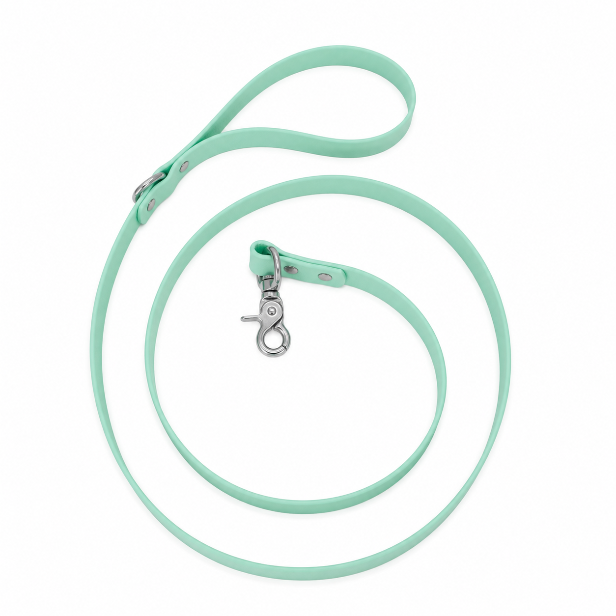 Waterproof BioThane® Dog Leash Seafoam