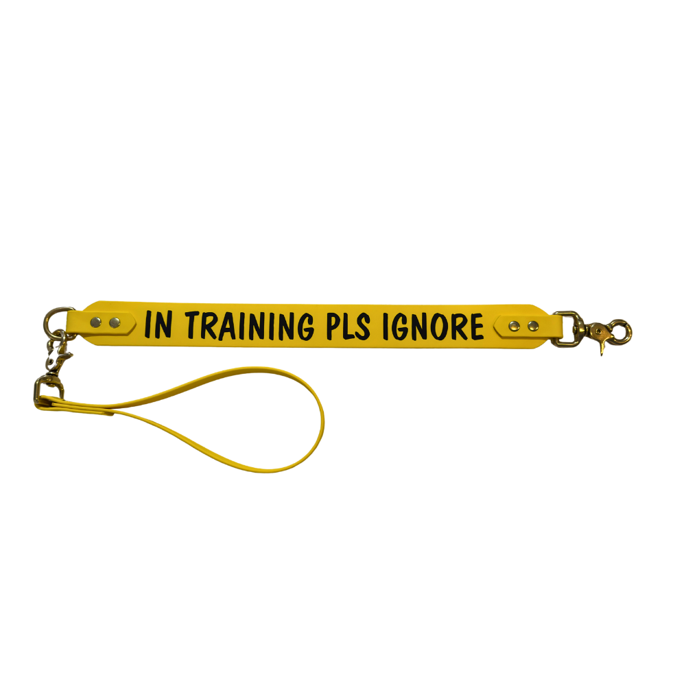 Complete Dog Training Bundle