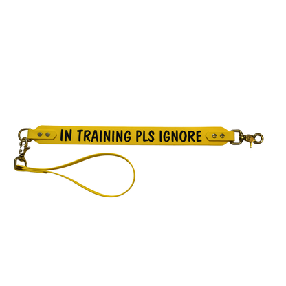 Complete Dog Training Bundle