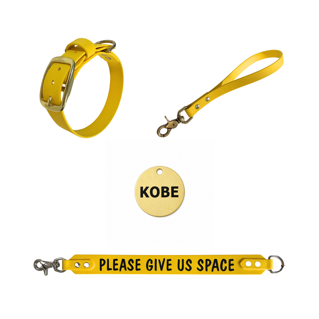 Bundle - Collar, Tag, Traffic Leash + extender