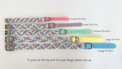 Bundle - Collar, Biothane handle lead + name badge